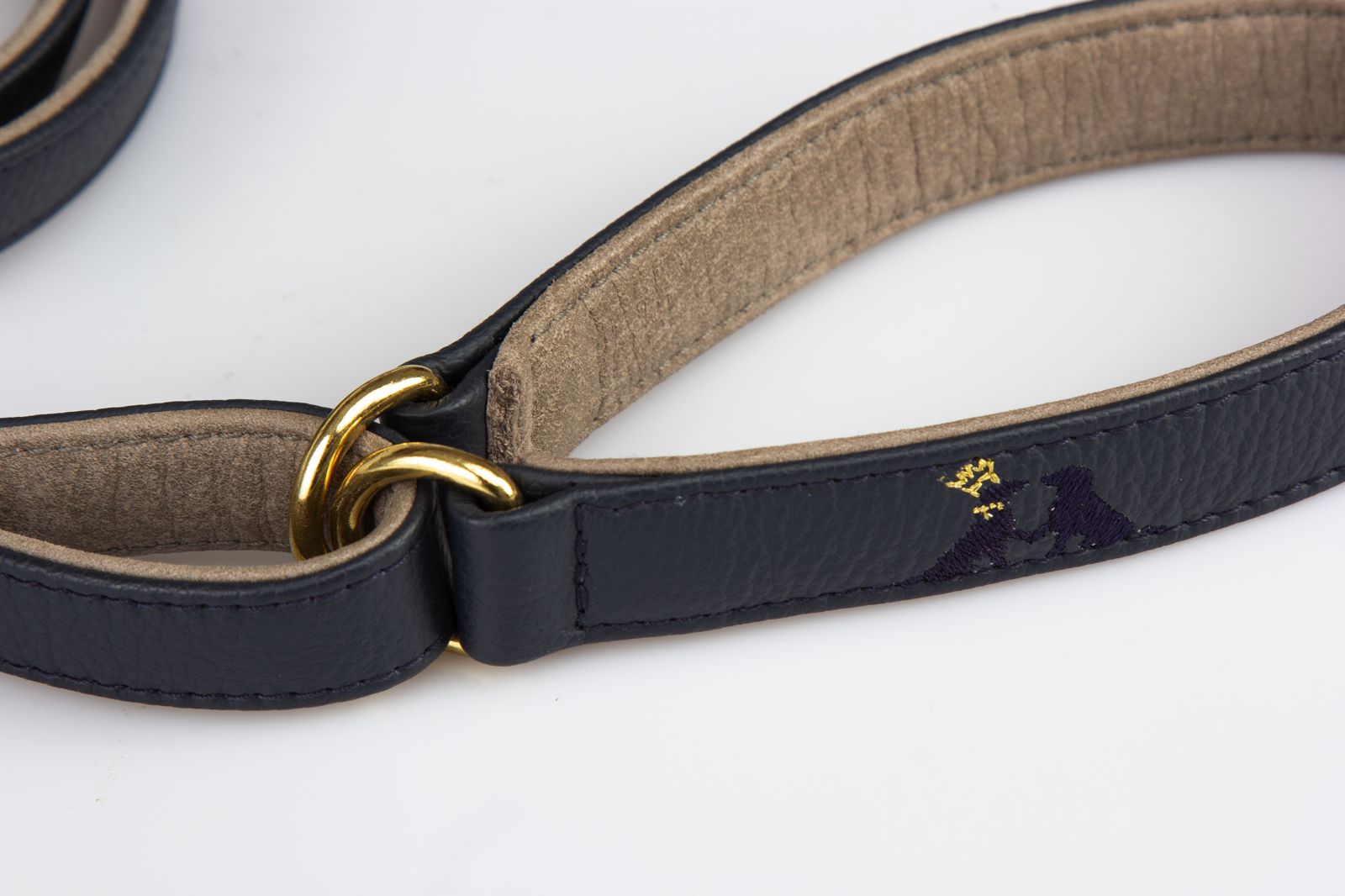 guinzaglio-collare-a2