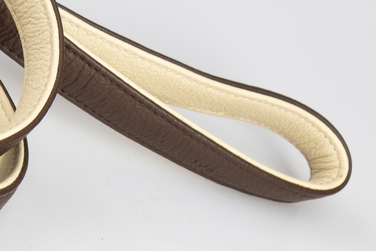 guinzaglio-collare-c-dettaglio2