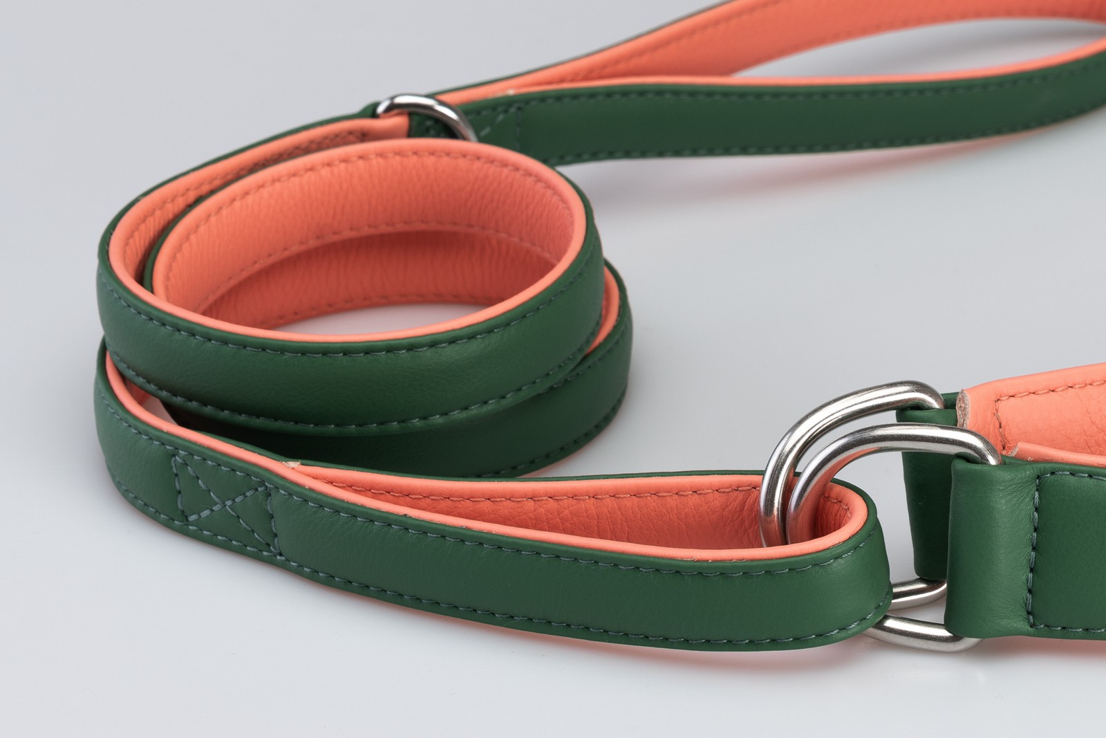 guinzaglio-collare-d2