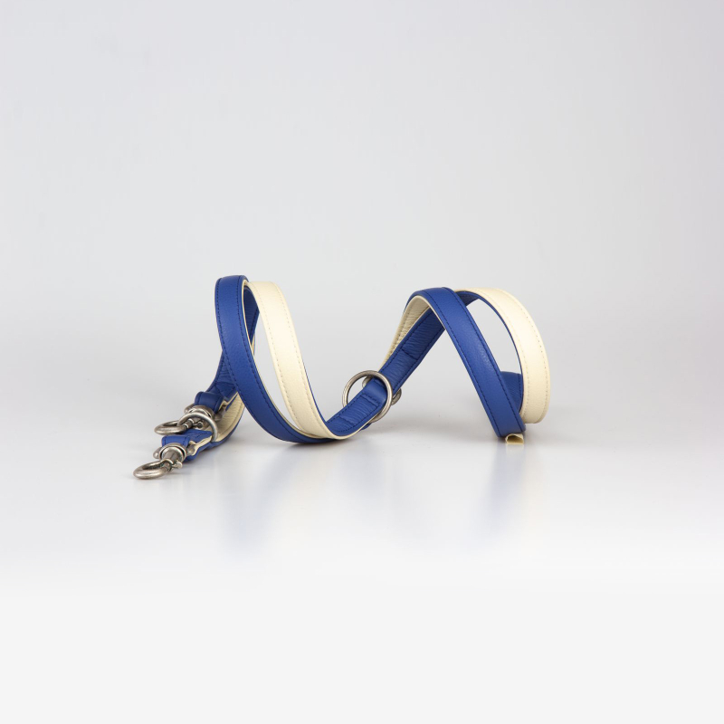 guinzaglio-addestramento-1-q