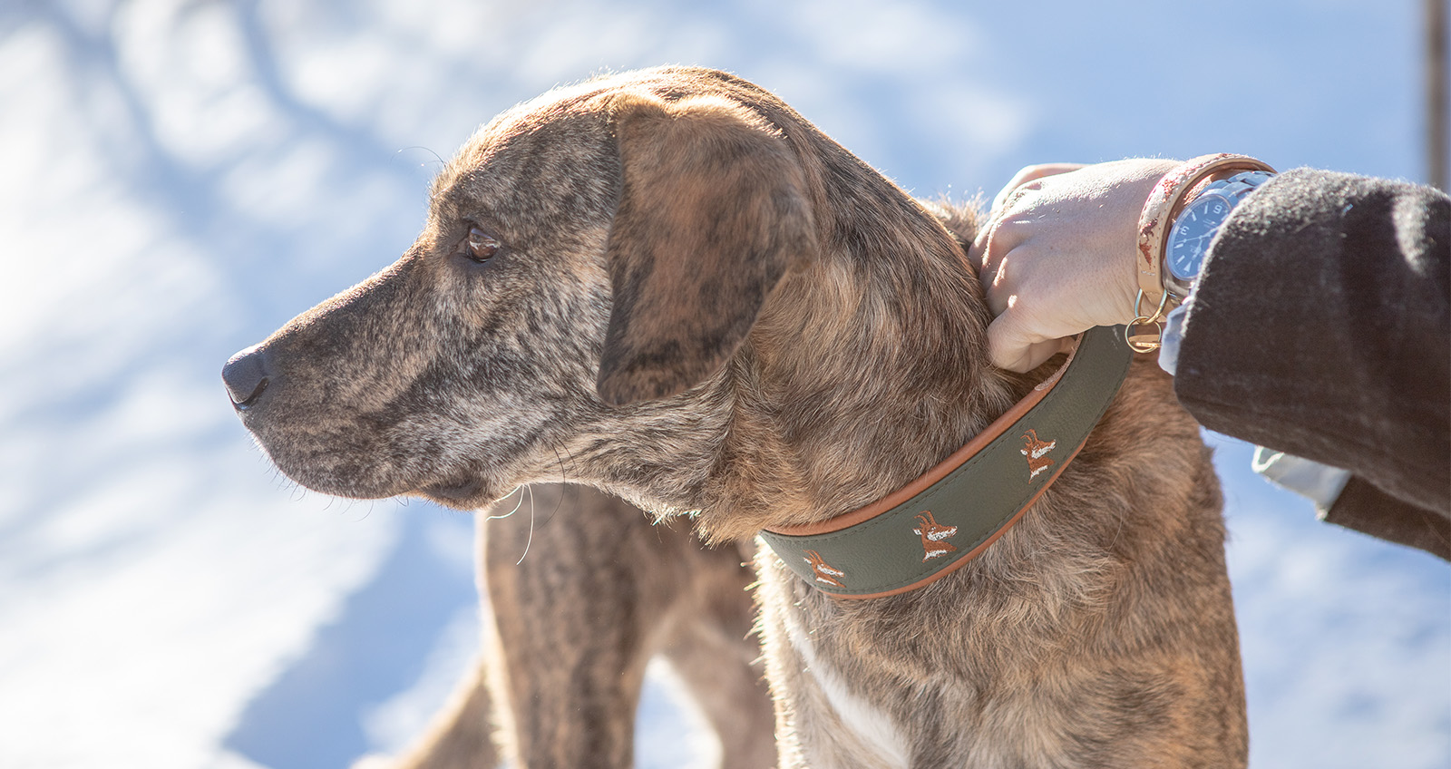 nala-stambecco-verde-cuoio