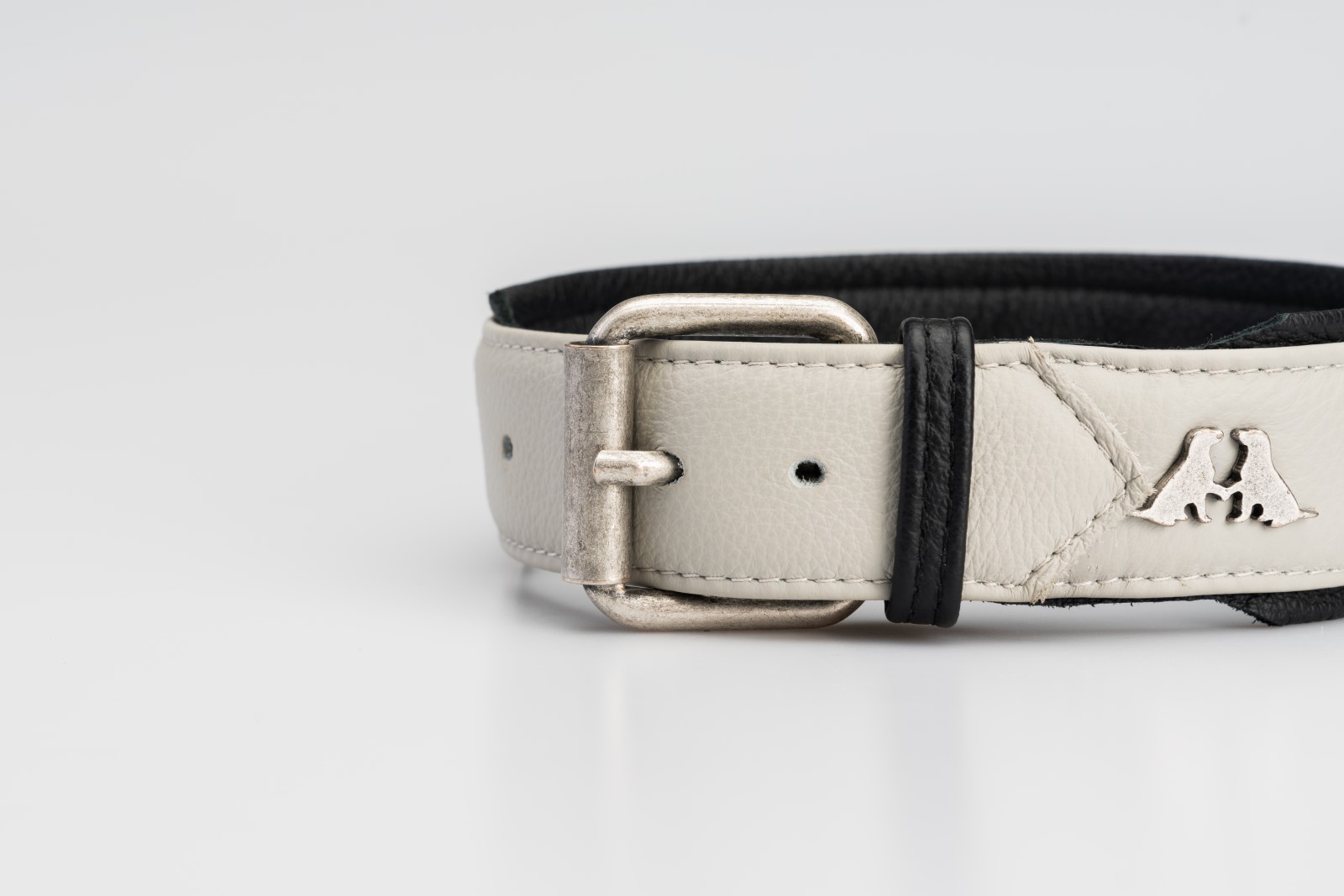 collare-per-cani-robot-billo-5