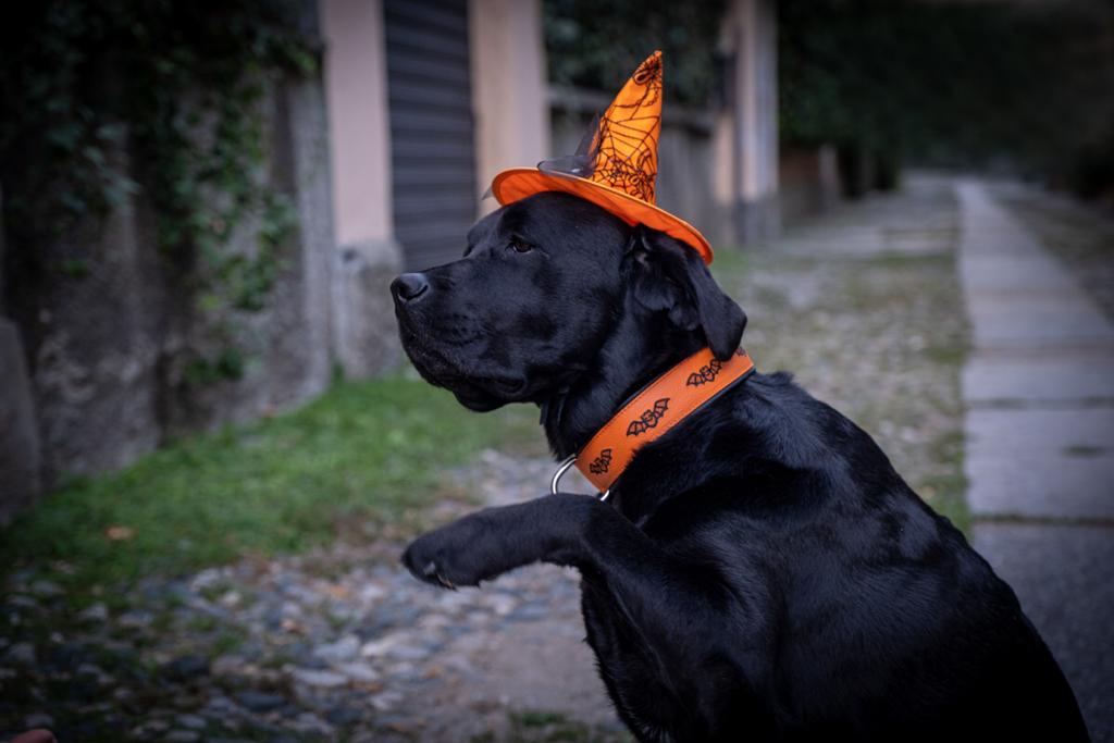 hallowing2
