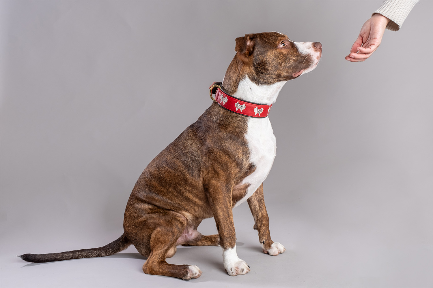 cali-in-pelle-di-colore-rosso-e-marrone-1