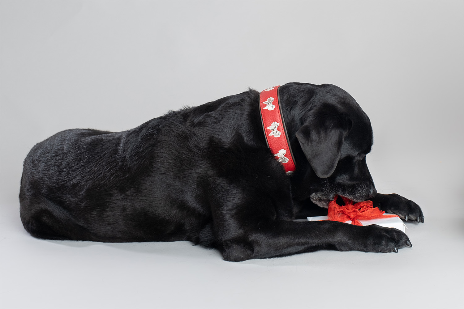 cali-in-pelle-di-colore-rosso-e-marrone-3