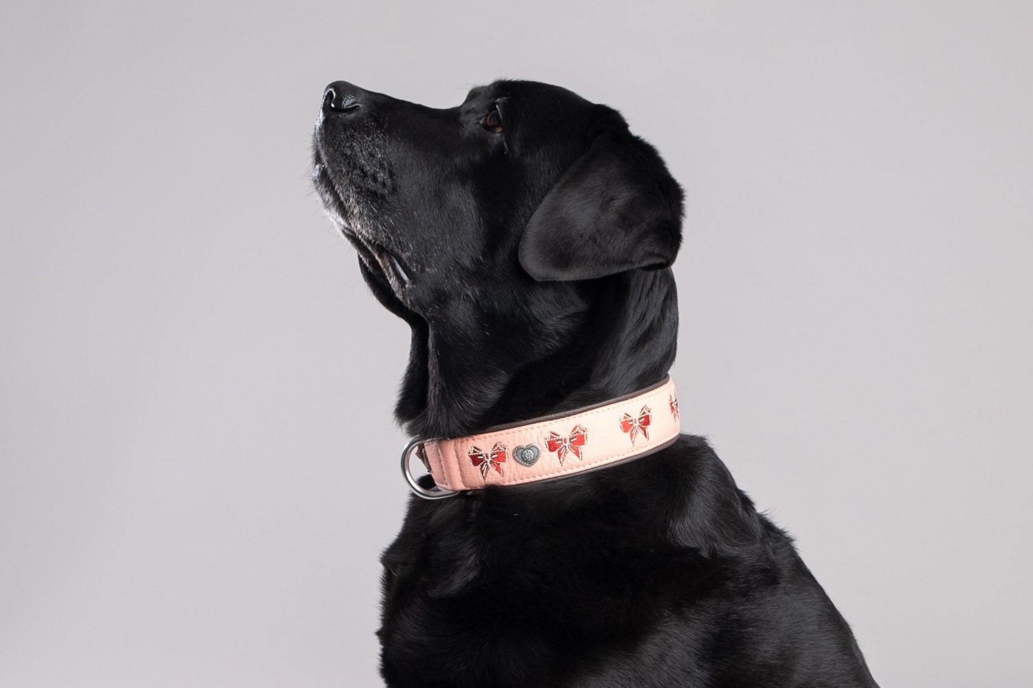 cali-rosa-e-marrone-2