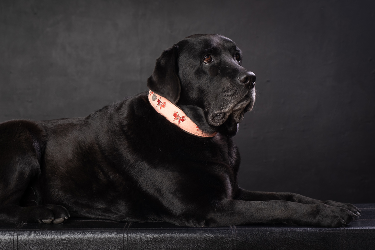 cali-rosa-e-marrone-3