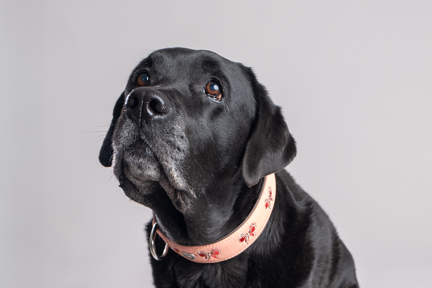 cali-rosa-e-marrone-4