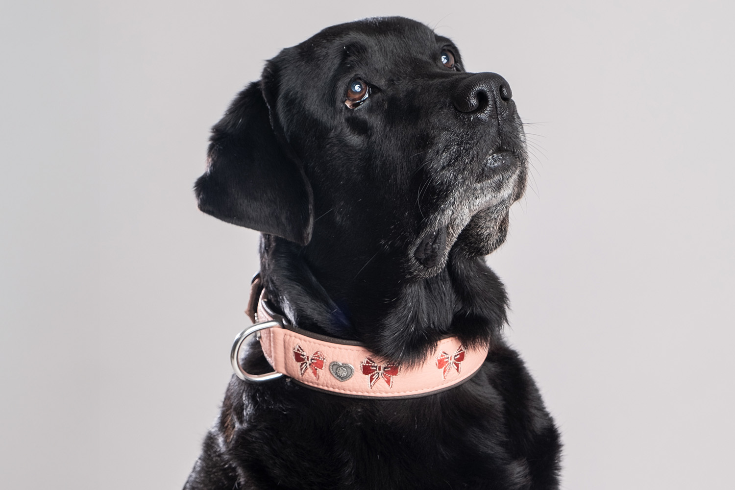 cali-rosa-e-marrone-5